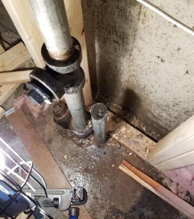 WhatsApp Image 2026-01-21 at 13.58.59