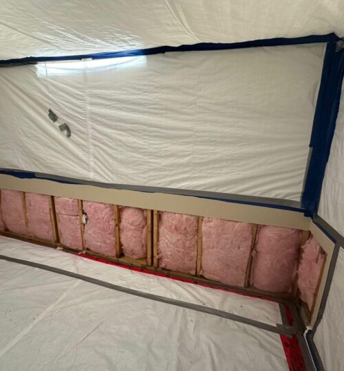 WhatsApp Image 2026-01-22 at 12.59.13